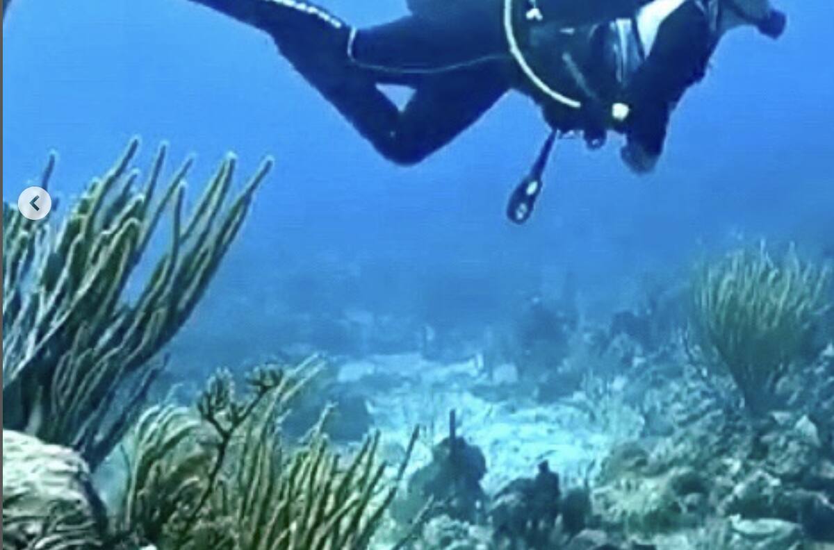 La arriesgada actividad que practica Salma Hayek