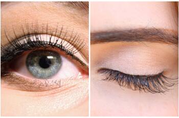 Secreto de la belleza natural: una humilde flor para pestañas largas y fuertes