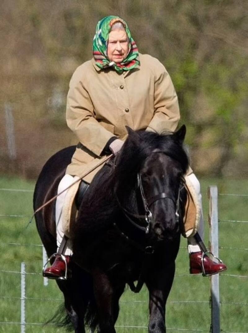 Palacio real informa estado de salud del caballo que despidió a reina Isabel II La reina y "Emma", en uno de sus tantos paseos por el castillo de Windsor. - Créditos: Instagram