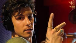Shawn Mendes tiene nueva conquista: una cantante pop
