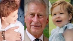 El hobby que Lilibet y Archie heredaron de su abuelo, el rey Carlos III, pese a la distancia