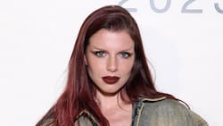 Julia Fox vive su peor momento tras el arresto de su padre y hermano por portar explosivos