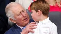 El proyecto escolar con el que el príncipe Louis llenará de orgullo al rey Carlos III