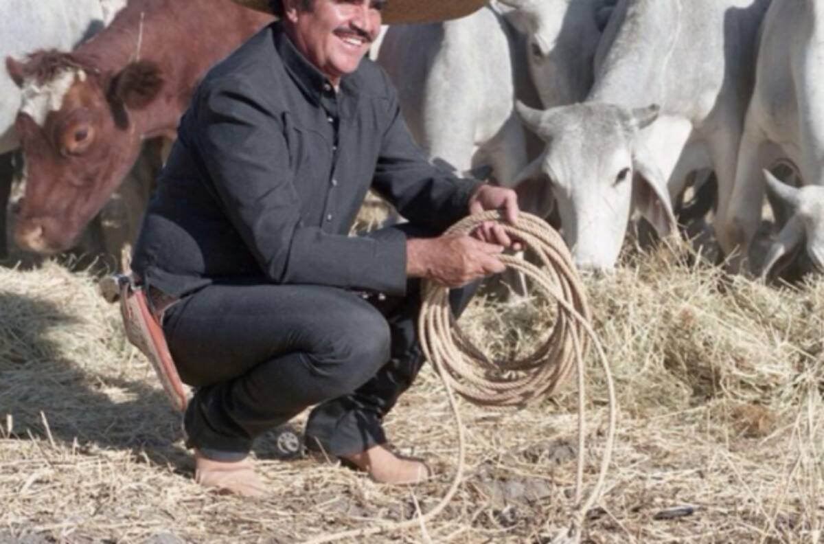 Así luce la monumental escultura de Vicente Fernández