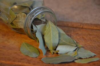 El laurel y el Feng Shui: Secretos para atraer prosperidad al hogar