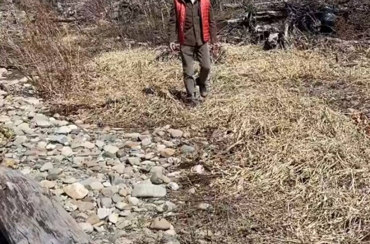 Bruce Willis disfruta de una caminata con su familia tras el diagnóstico de afasia