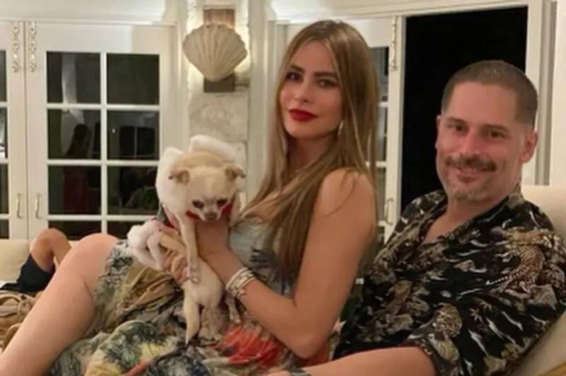 El perrito Bubbles junto a su familia: Sofía Vergara y Joe Manganiello