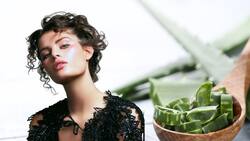 Rizos radiantes: aprende a hacer esta crema casera de aloe vera para nutrir y suavizar tu cabello