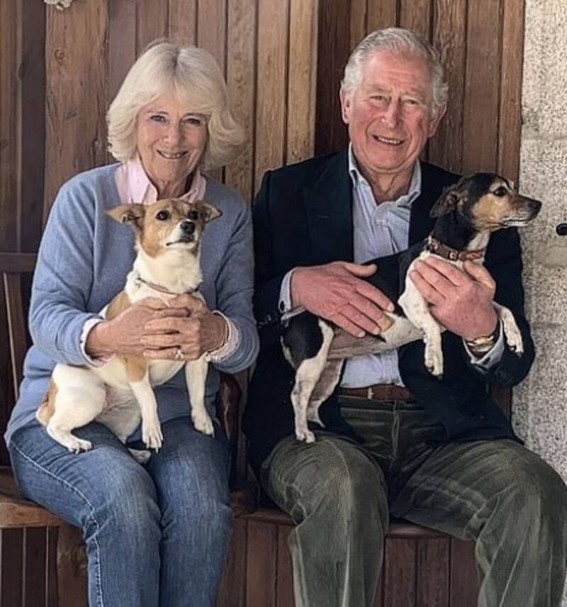 Camila y Carlos lucen muy felices y se tratan con cariño. - Créditos: Daily Mail