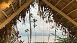 Camilo y Evaluna lanzan tajante mensaje respecto al género de Índigo