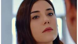 Cansu Dere compartió un cálido saludo con un cantante turco durante show en España