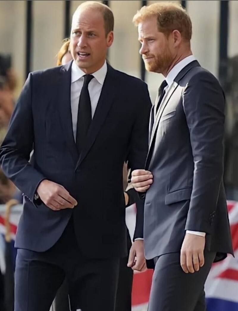 Carlos III y William solo saludarán a Harry, no habrá dialogos familiares ni demostración de amistad Los hermanos reales apenas estrecharán sus manos en la coronación - Créditos: Instagram