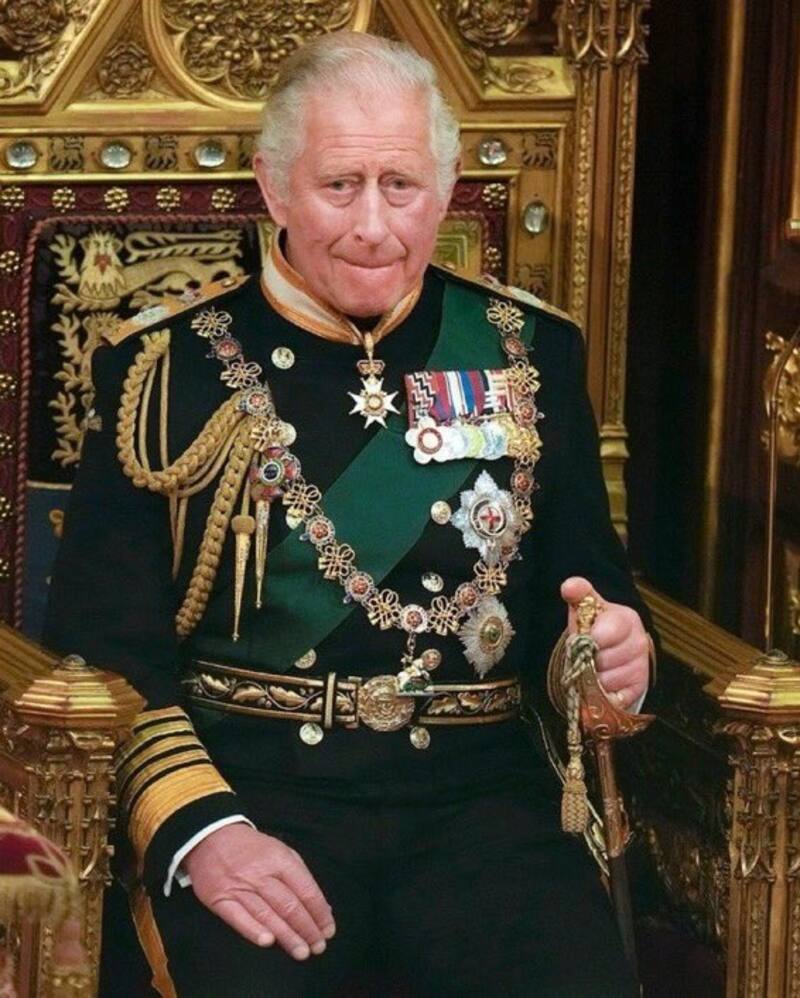 Carlos quiere arreglar cuanto antes los problemas con Harry. - Créditos: Twitter