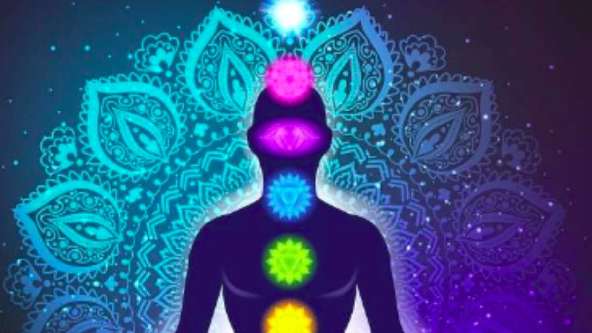 Las plantas más usadas para equilibrar la energía del cuerpo