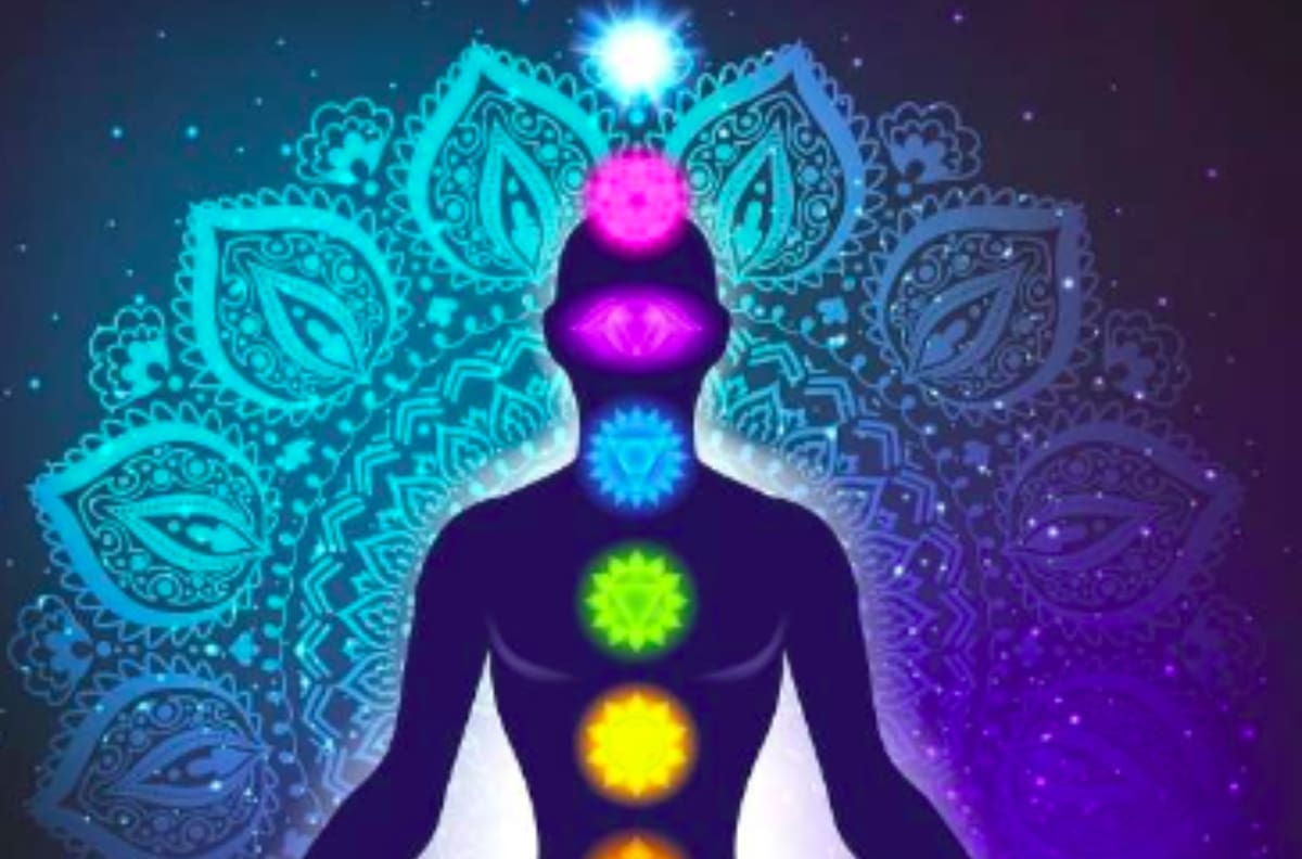 Las plantas más usadas para equilibrar la energía del cuerpo