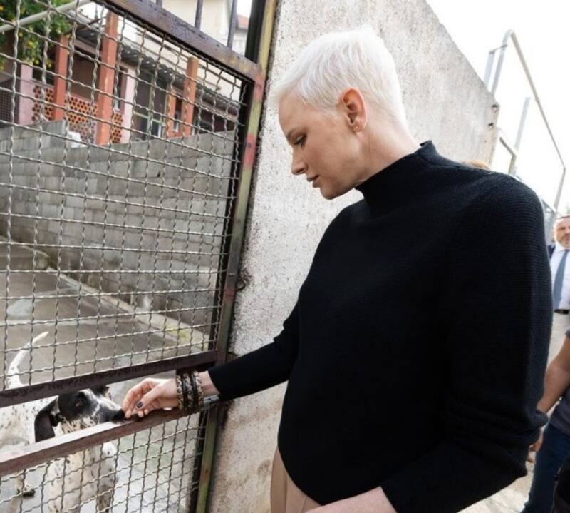 Charlene estrenó nuevo peinado con un rubio extremo. - Créditos: Instagram