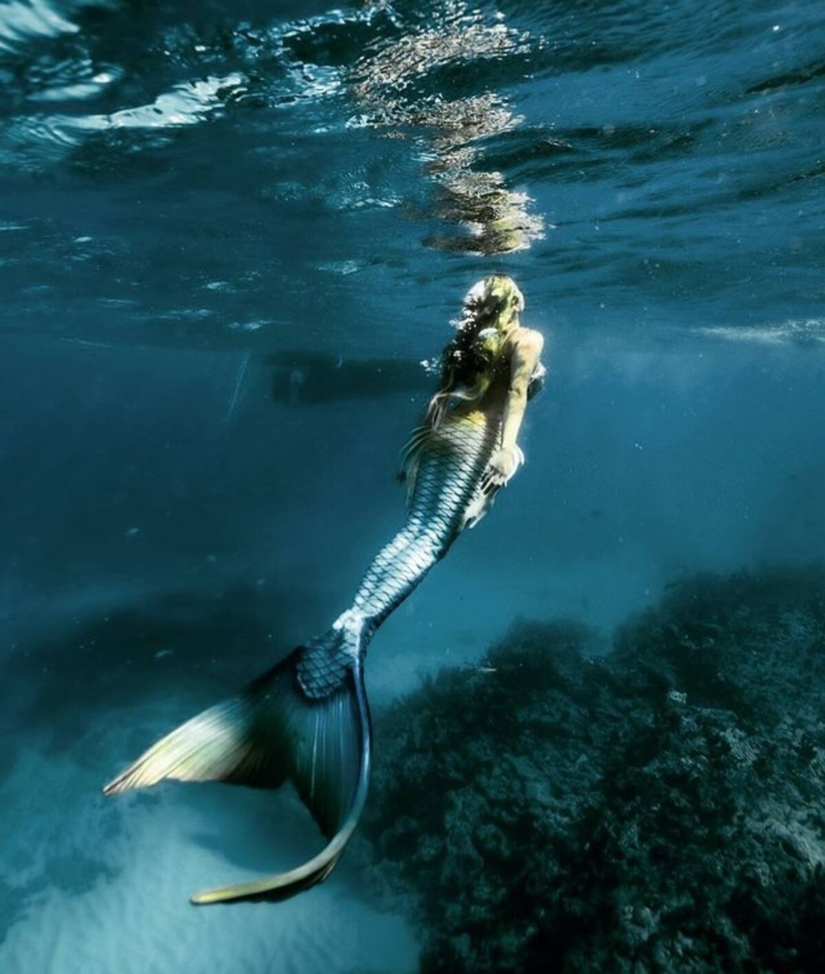 Conoce la historia de las Sirenas - Créditos: Instagram