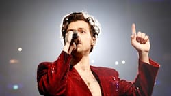 Harry Styles detiene concierto para dar un mensaje a la familia de un fan aproblemada