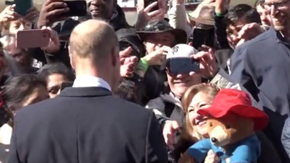 Rey Carlos III y príncipe William emocionados con presencia de oso Paddington