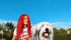 Karol G presume la exótica mascota que acompaña a sus dos perros