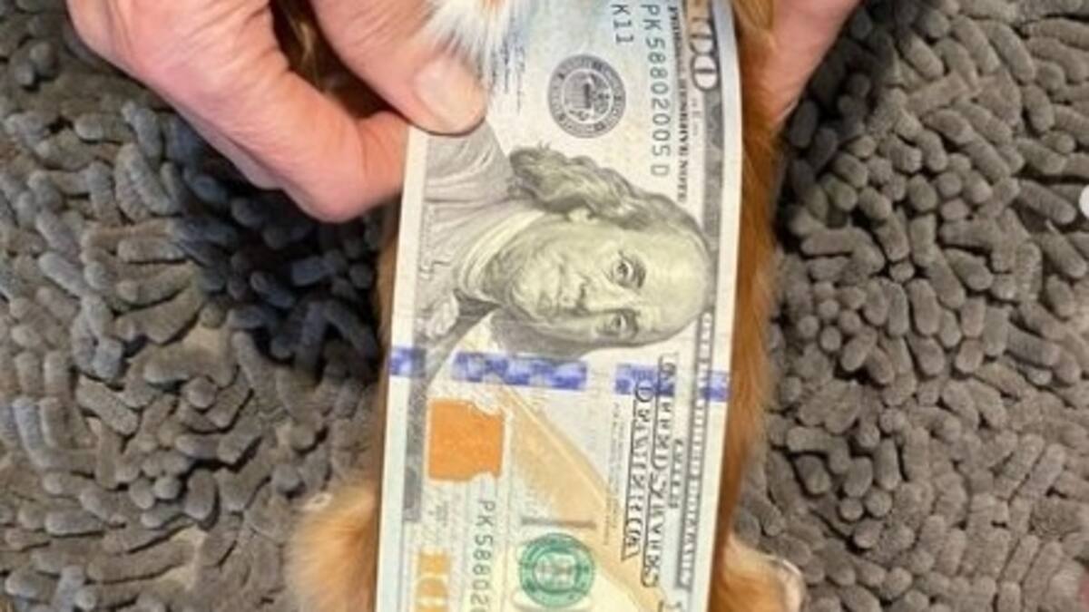 Demi Moore olvida el drama que vive su ex Bruce Willis postulando a un récord Guinness