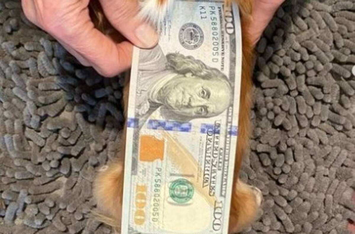 Demi Moore olvida el drama que vive su ex Bruce Willis postulando a un récord Guinness