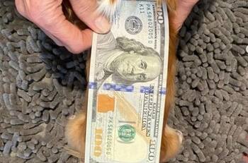 Demi Moore olvida el drama que vive su ex Bruce Willis postulando a un récord Guinness