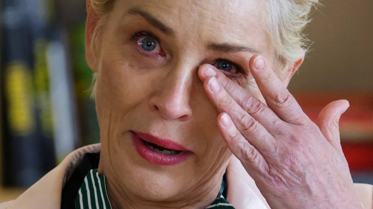 La inigualable Sharon Stone vive sus peores días al perder la mitad de todo su dinero