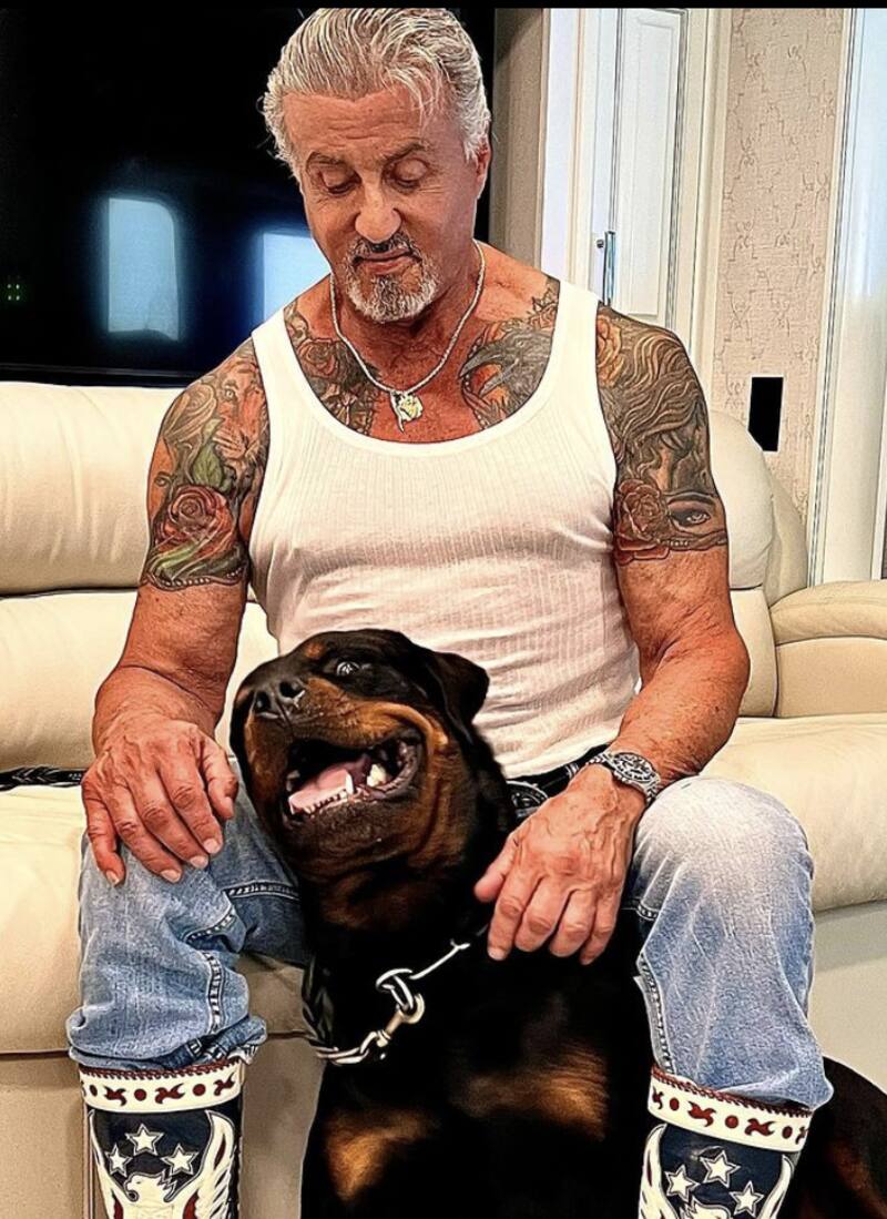 - Créditos: Instagram