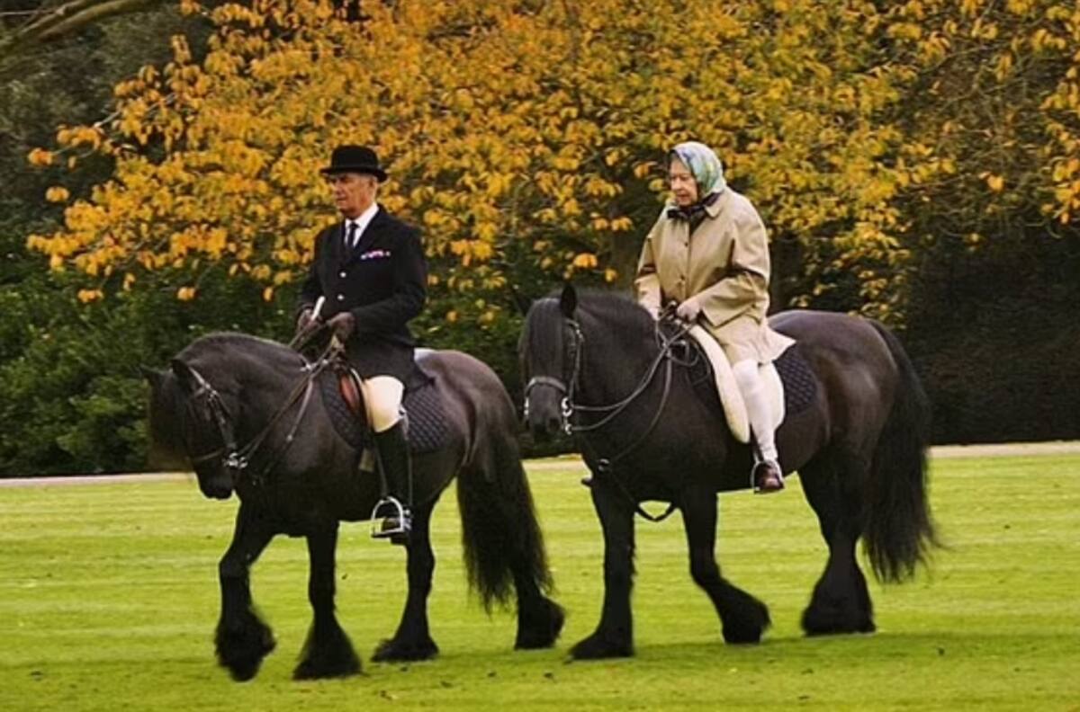 El caballo que despidió a la Reina Isabel II supo que ella nunca más lo montaría