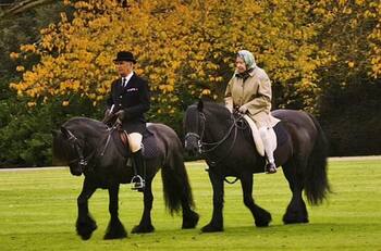 El caballo que despidió a la Reina Isabel II supo que ella nunca más lo montaría