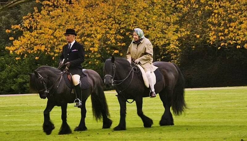 - Créditos: Instagram