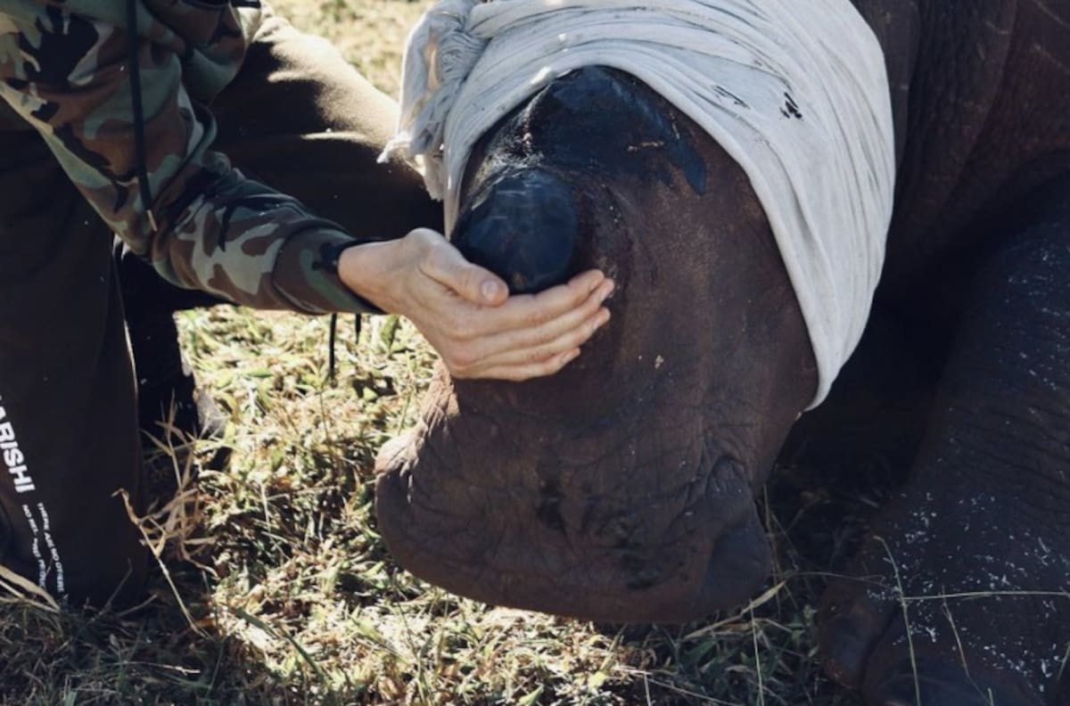 Charlene cumple un año lejos de Alberto de Mónaco y el Principado