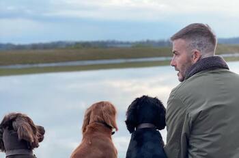 David Beckham es el mejor entrenador del mundo y lo demuestra con su mascota