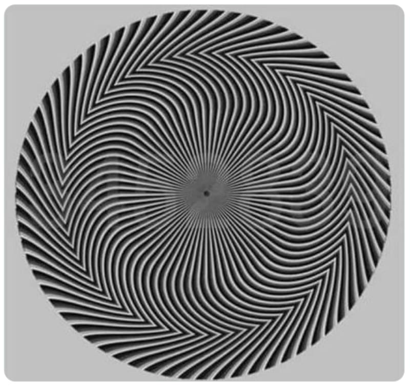 Descubre el número escondido en la imagen - Créditos: Twitter