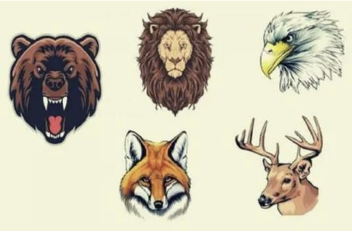 Elige un animal que te represente para conocer algunos rasgos de tu personalidad