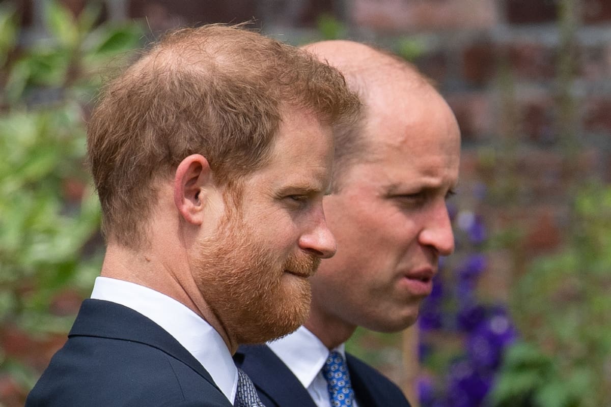 El distanciaminto de Harry y William es enorme. - Créditos: Agencias