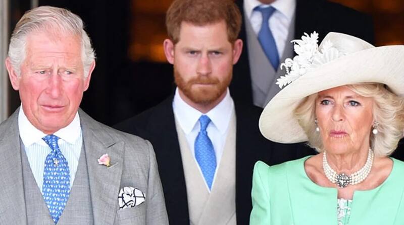 El divorcio entre Harry y Meghan Markle no le convendría a la reina Camila - Créditos: Instagram