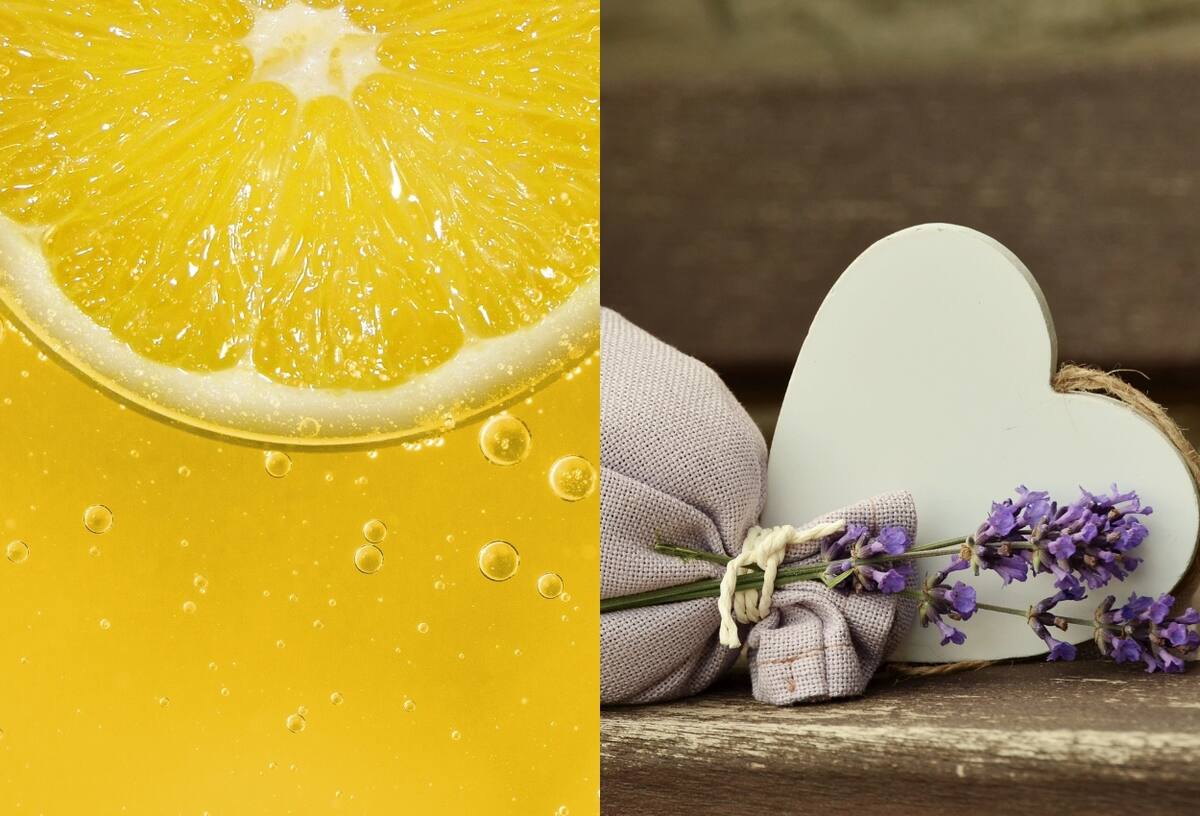 Ten encuenta los siguientes aromas para tener en tu casa para atraer fortuna y energías positivas en tu casa según el Feng Shui.