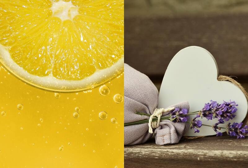 Ten encuenta los siguientes aromas para tener en tu casa para atraer fortuna y energías positivas en tu casa según el Feng Shui.