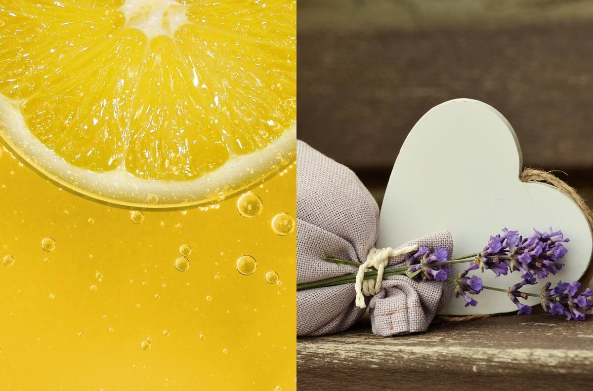 Aromas del equilibrio: Las esencias Feng Shui para la prosperidad