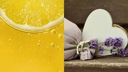 Aromas del equilibrio: Las esencias Feng Shui para la prosperidad