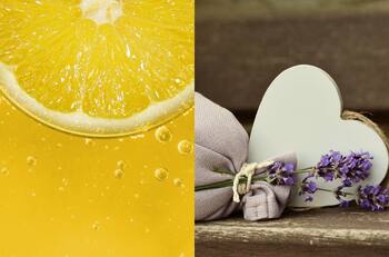 Aromas del equilibrio: Las esencias Feng Shui para la prosperidad