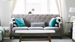 La danza del equilibrio: Feng Shui para un hogar llenito de amor y tranquilidad