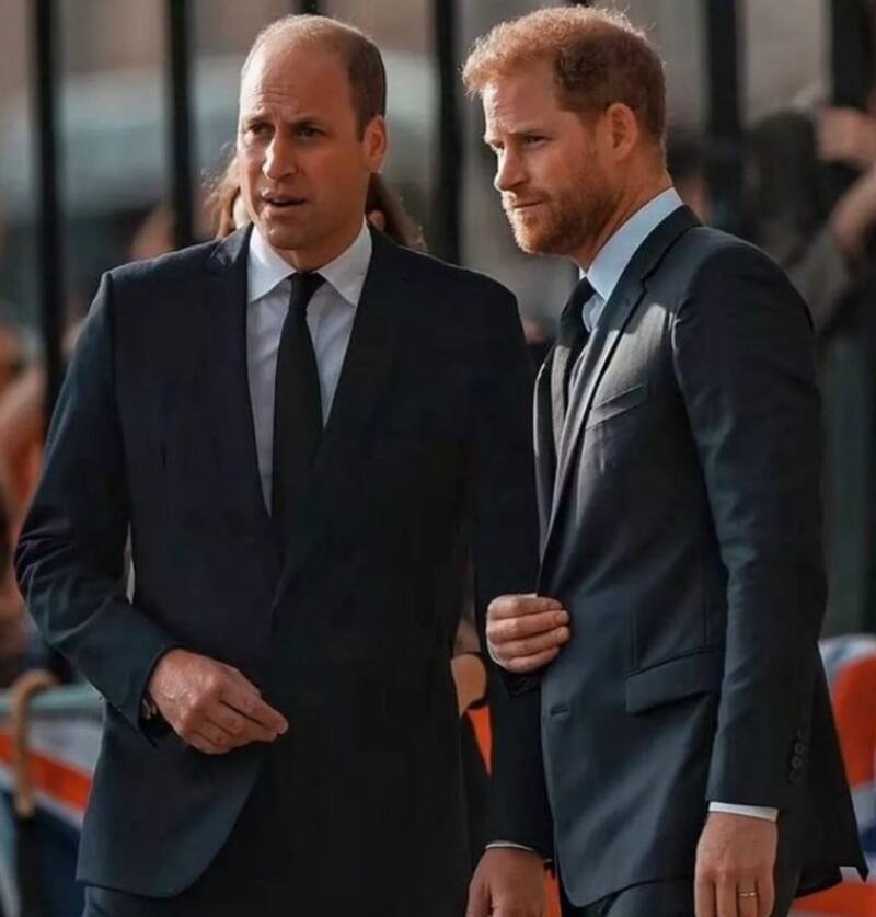El mensaje de William a Harry fue categórico. - Créditos: Instagram