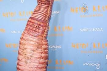 El pánico que Heidi Klum pudo superar al disfrazarse de gusano