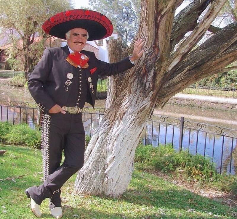 El polémico heredero de Vicente Fernández - Créditos: Instagram