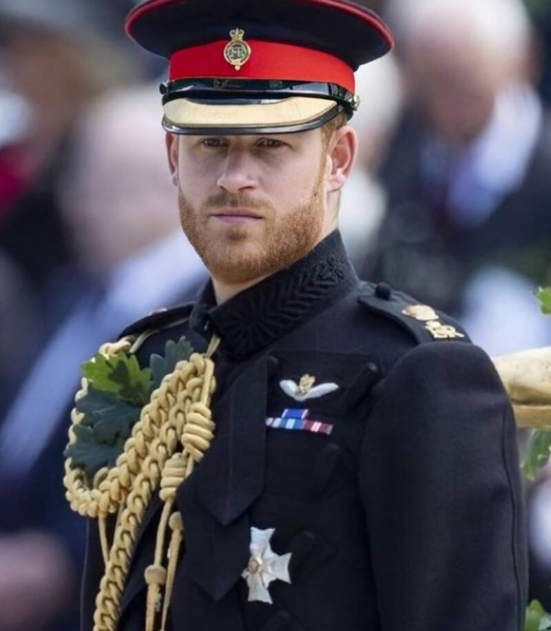 El Príncipe Harry nunca envidió la posición de su hermano William. - Créditos: Instagram