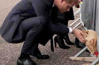 Príncipe Harry no podrá obtener ciudadanía estadounidense y deberá someterse a test de drogas