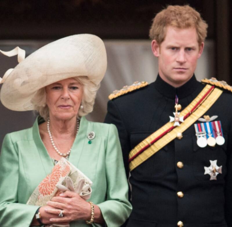 El príncipe Harry rompe el silencio tras anuncio de Camila - Créditos: Twitter